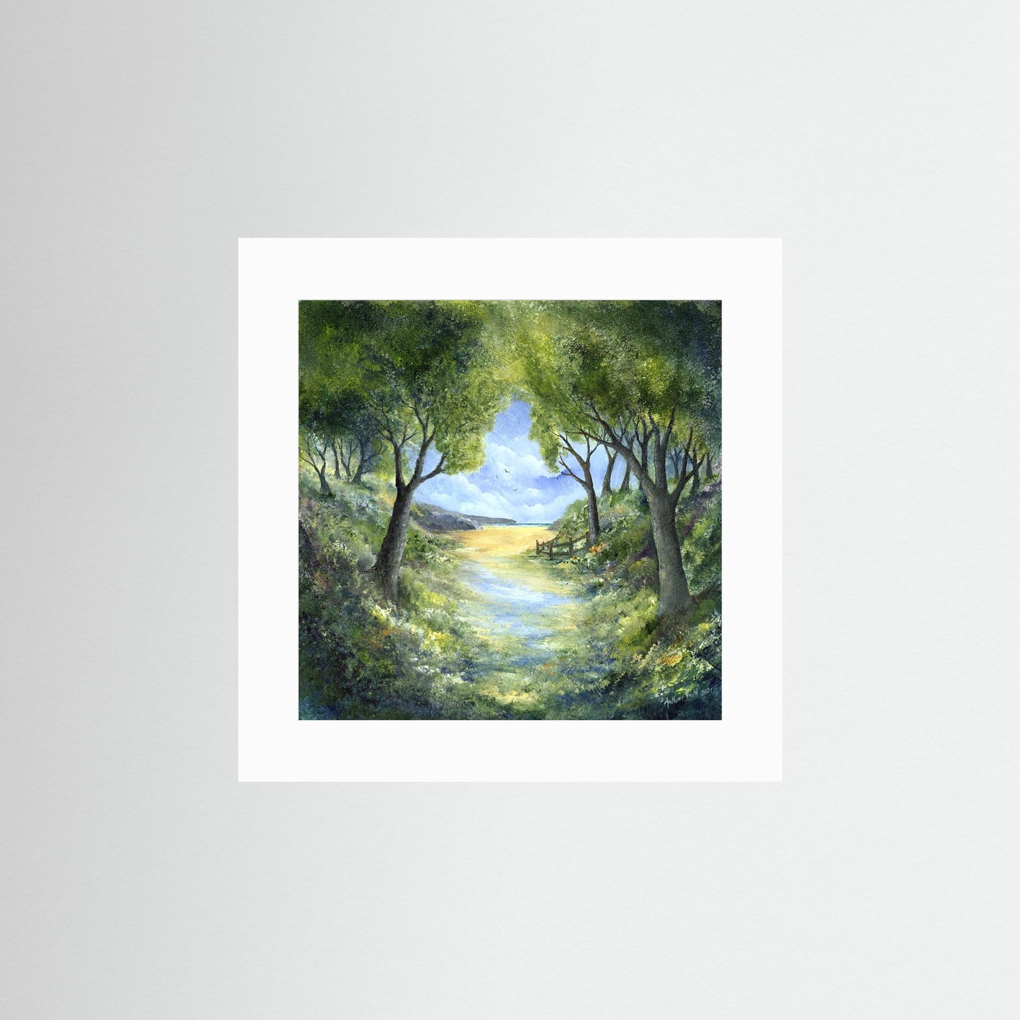 Cornish walk to the beach. Code:1272